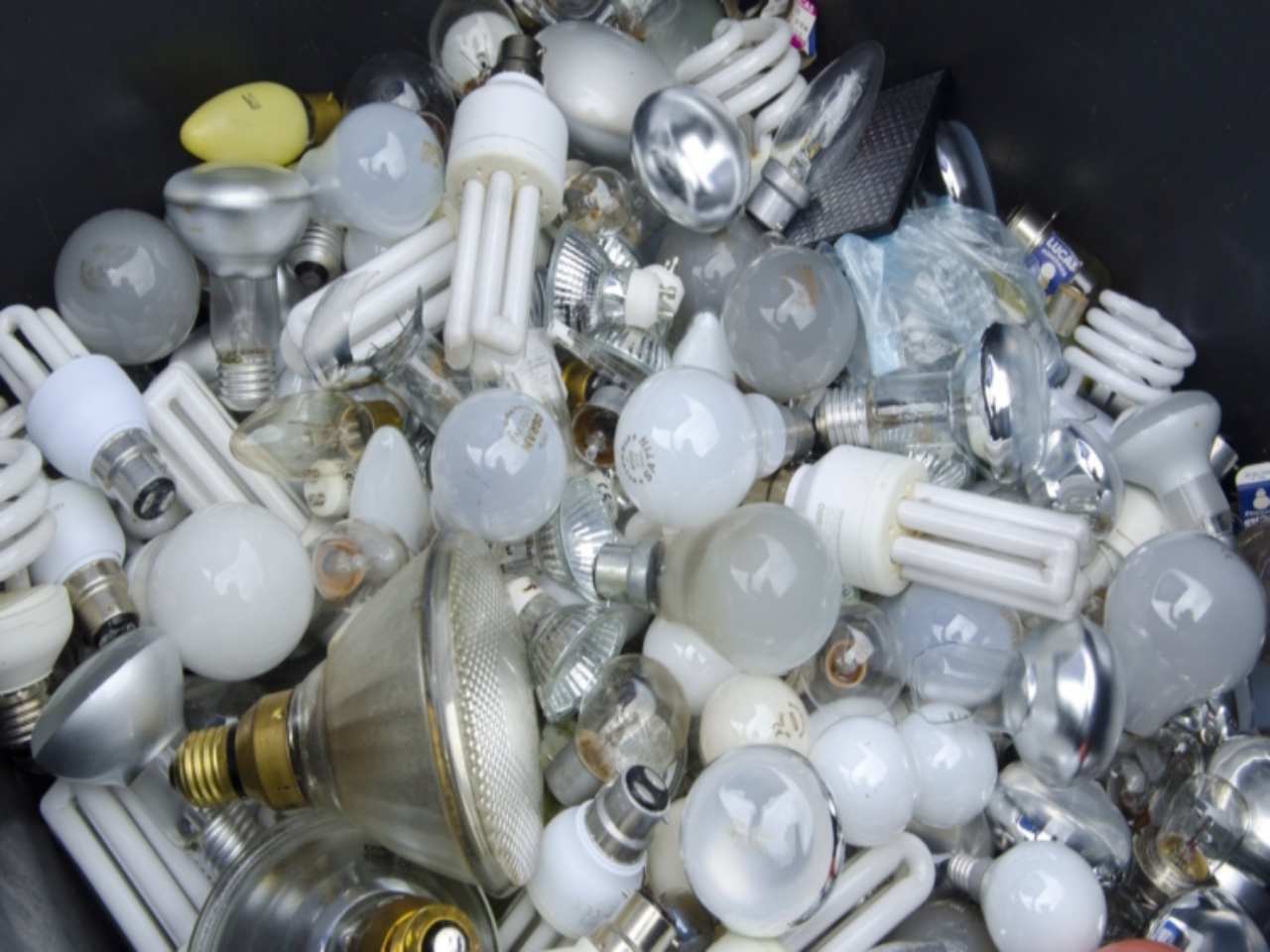 Halogen Light Bulbs