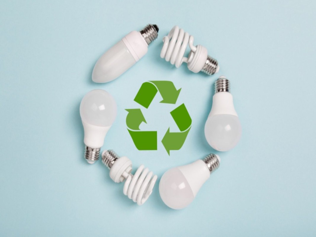 How to Dispose of Light Bulb