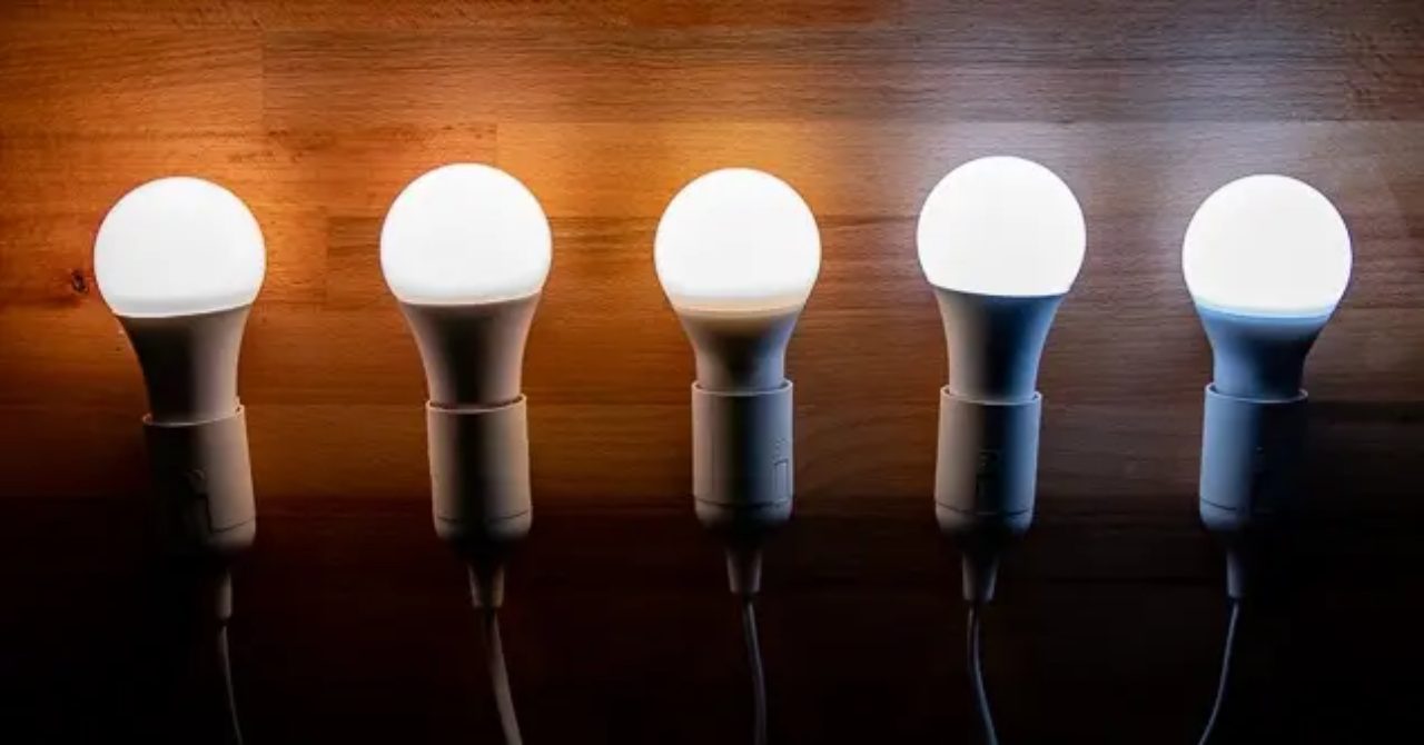 led bulbs