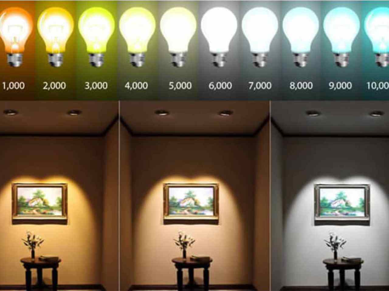led light color