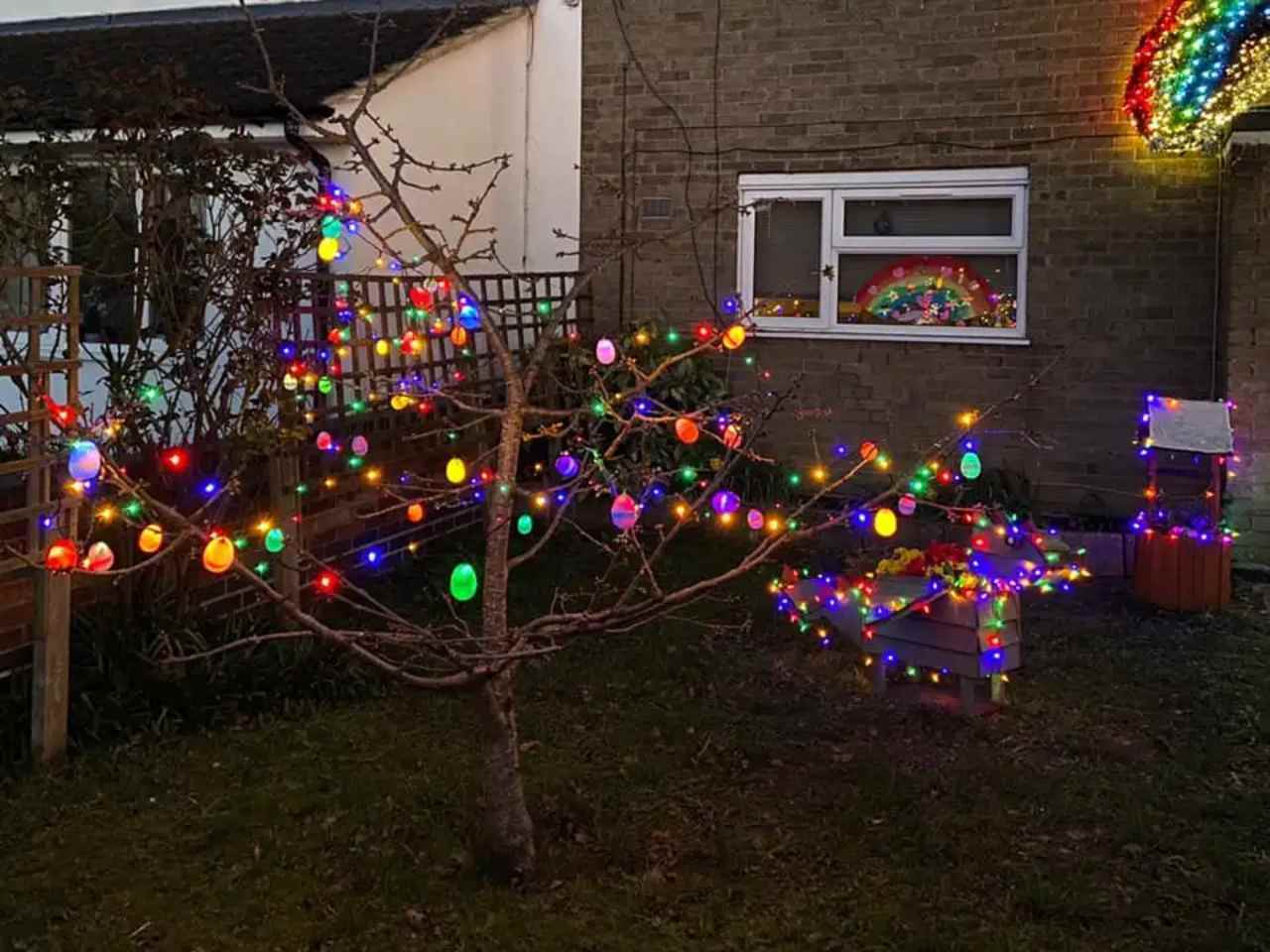 rainbow festoon lights