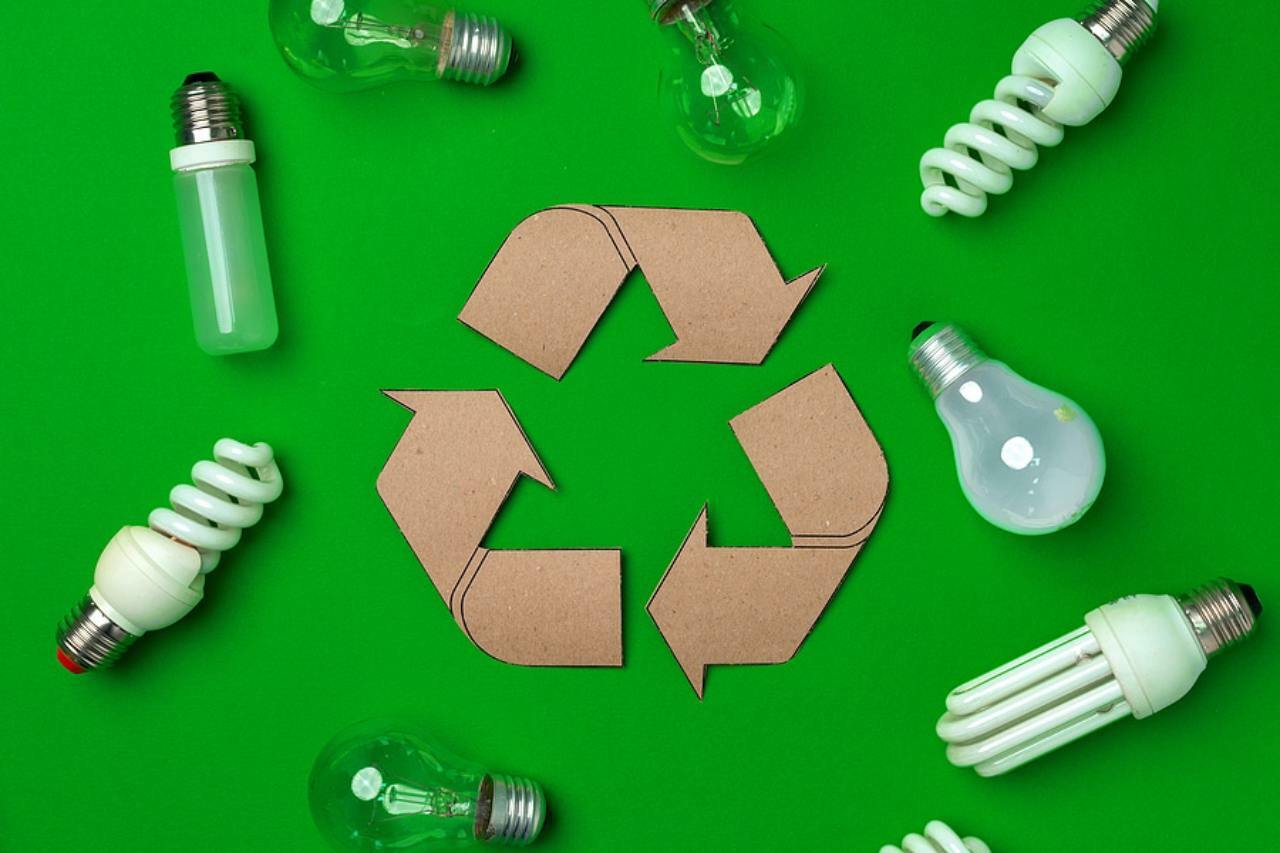 recycle light bulbs