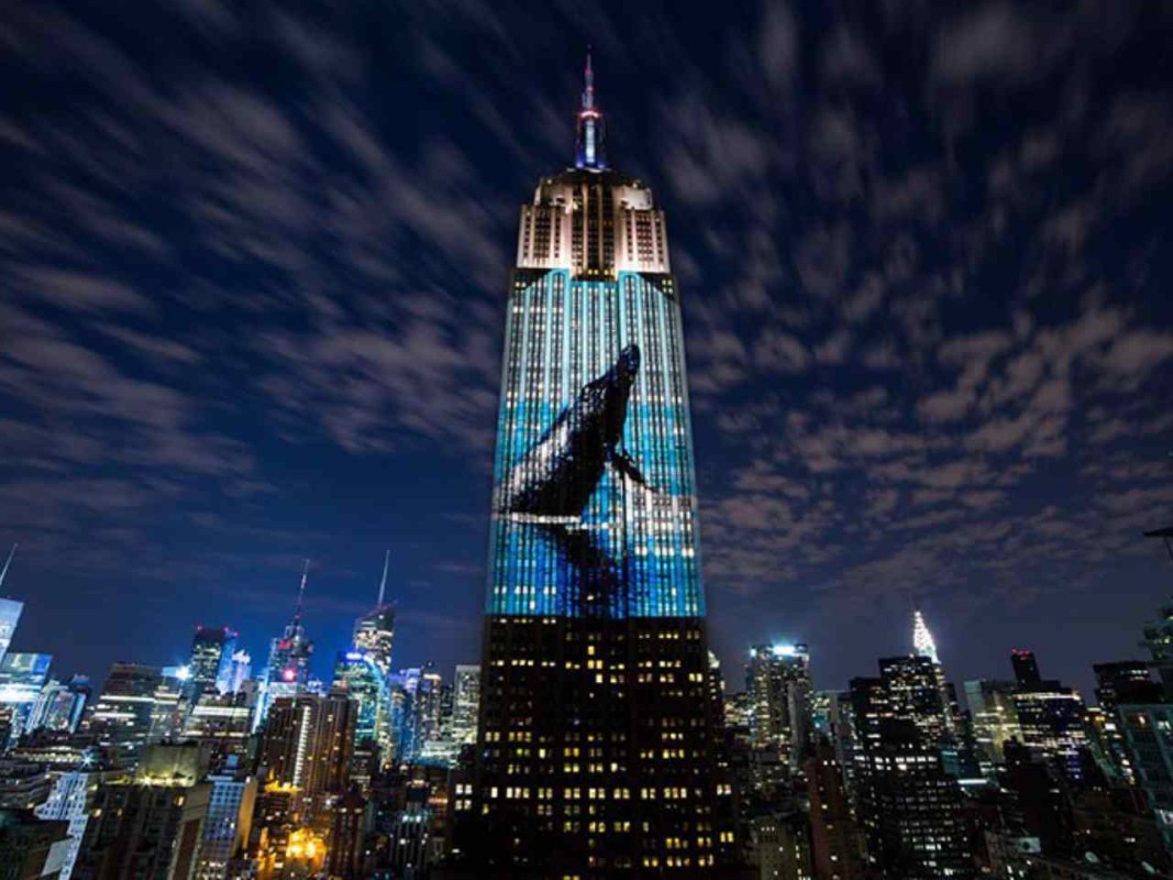 The Empire State Building LED light