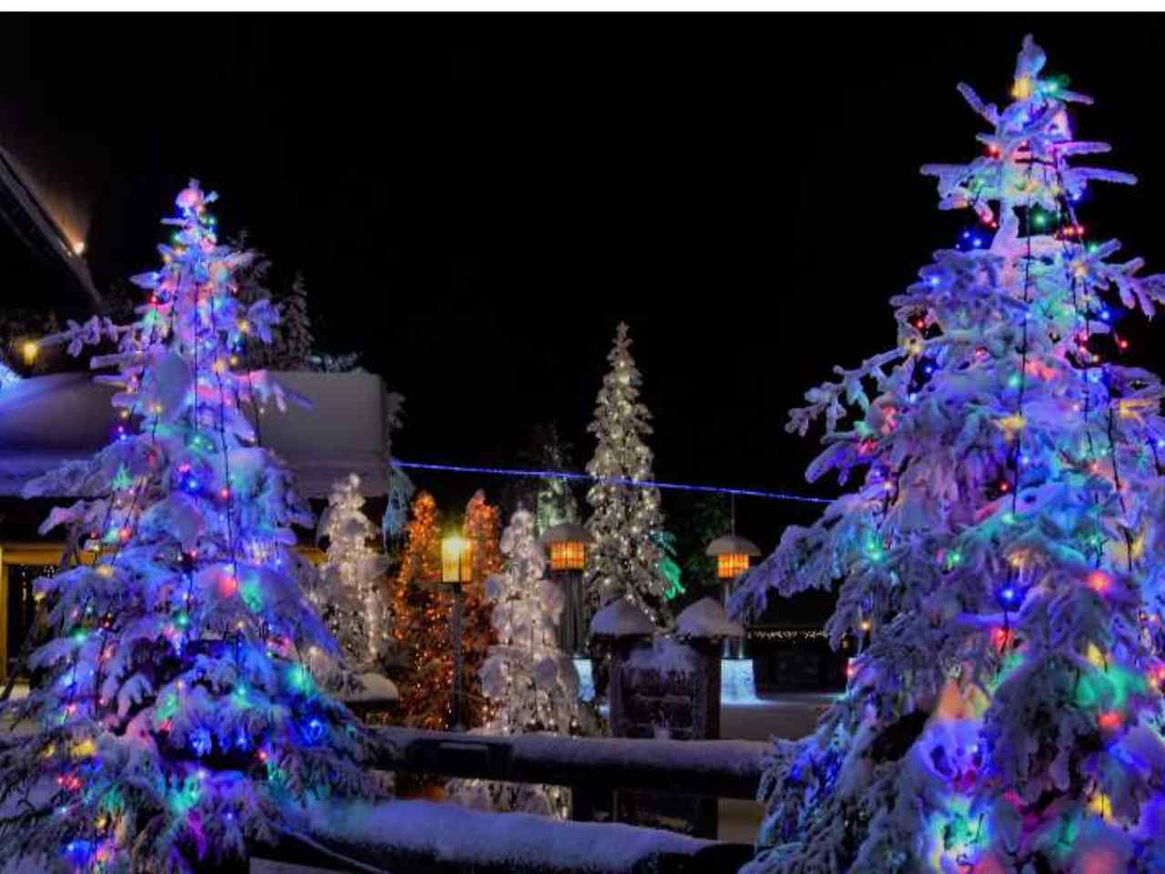 LED Xmas Lights