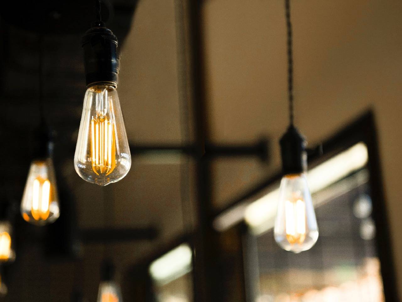 halogen bulbs