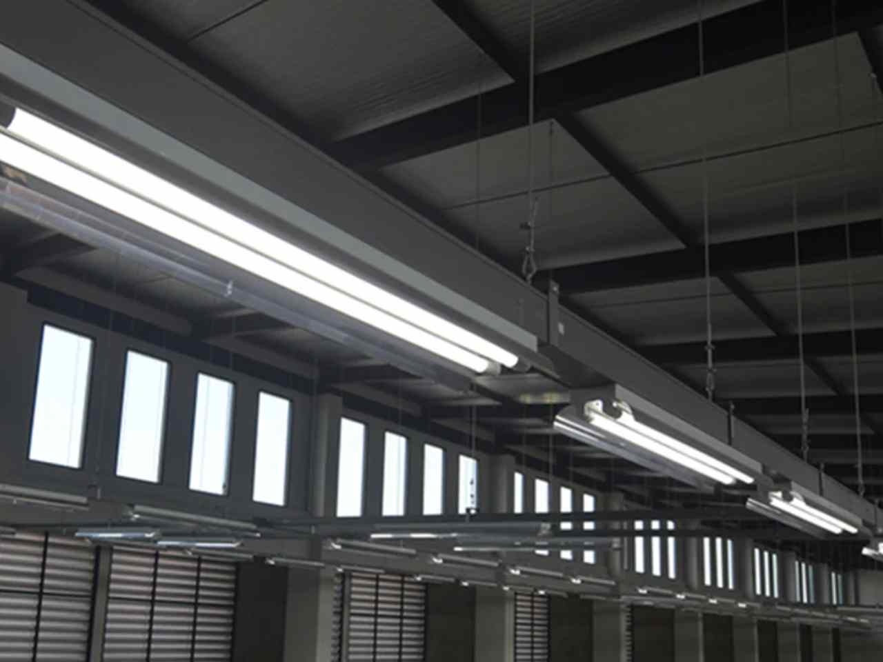LED Tube Light