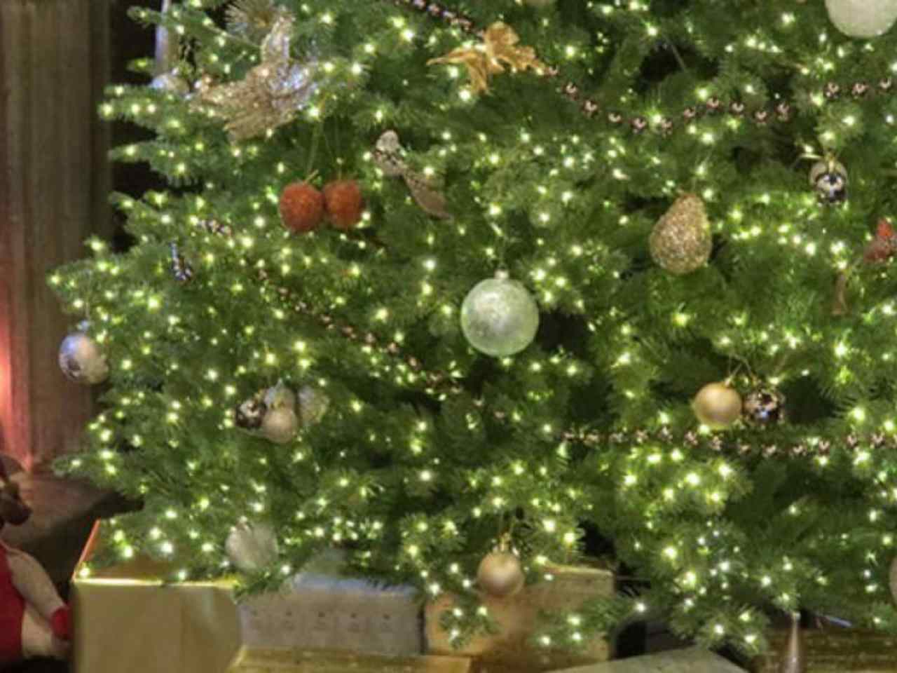 led christmas tree lights